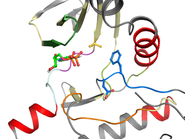 The orthosteric binding pocket