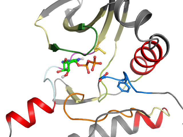 The orthosteric binding pocket