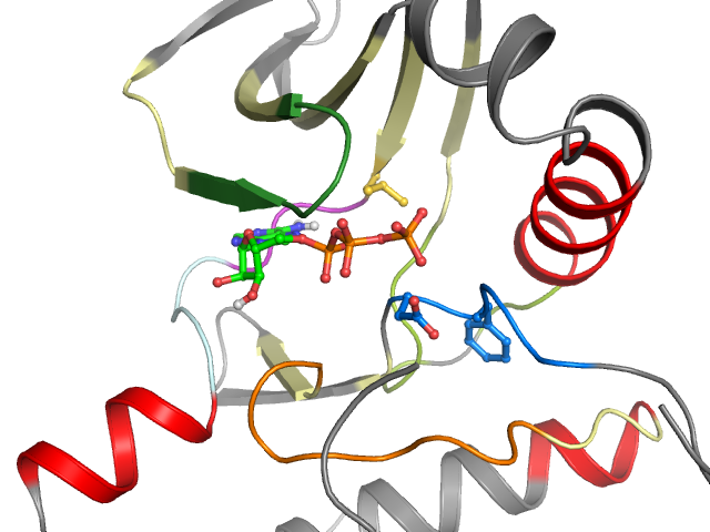The orthosteric binding pocket