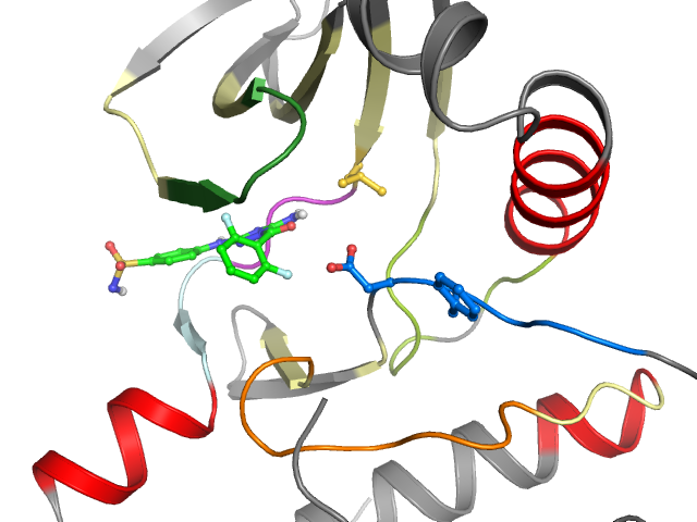 The orthosteric binding pocket