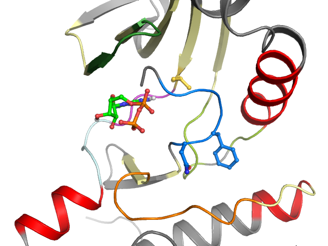 The orthosteric binding pocket