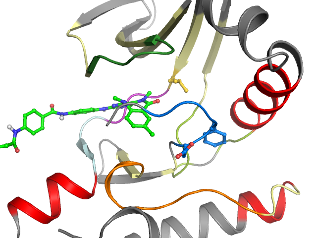 The orthosteric binding pocket
