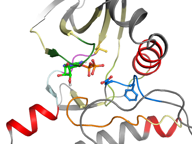 The orthosteric binding pocket
