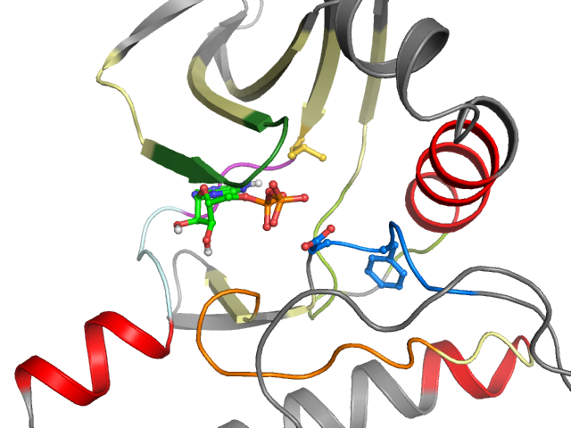 The orthosteric binding pocket
