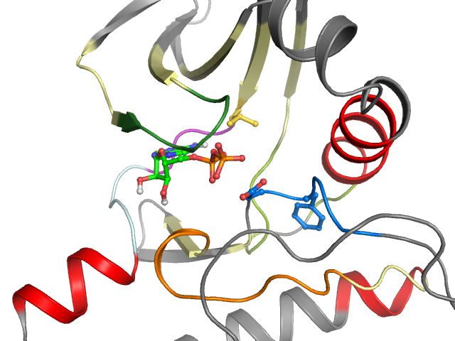 The orthosteric binding pocket
