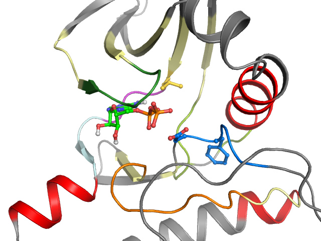 The orthosteric binding pocket