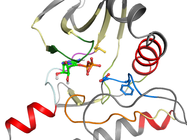 The orthosteric binding pocket