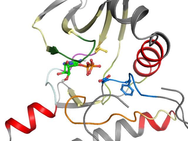The orthosteric binding pocket