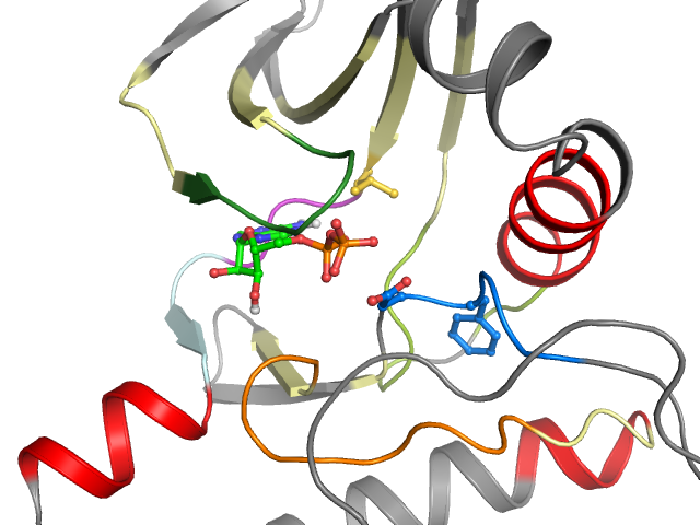 The orthosteric binding pocket