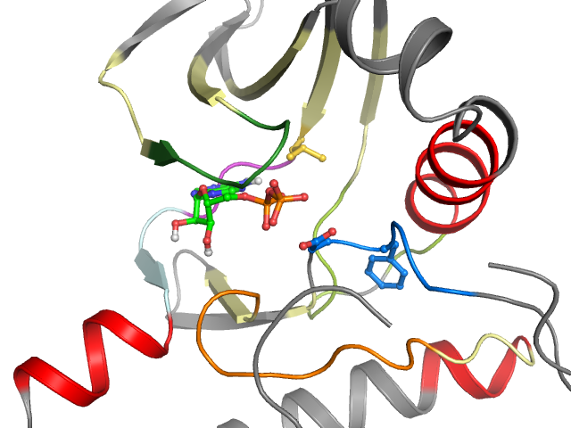 The orthosteric binding pocket