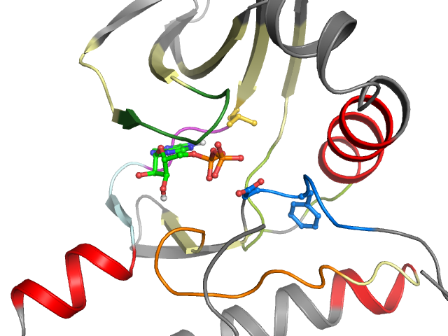 The orthosteric binding pocket
