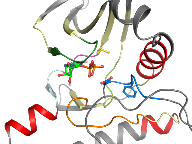 The orthosteric binding pocket