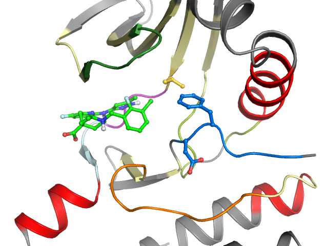 The orthosteric binding pocket