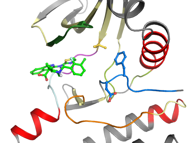 The orthosteric binding pocket
