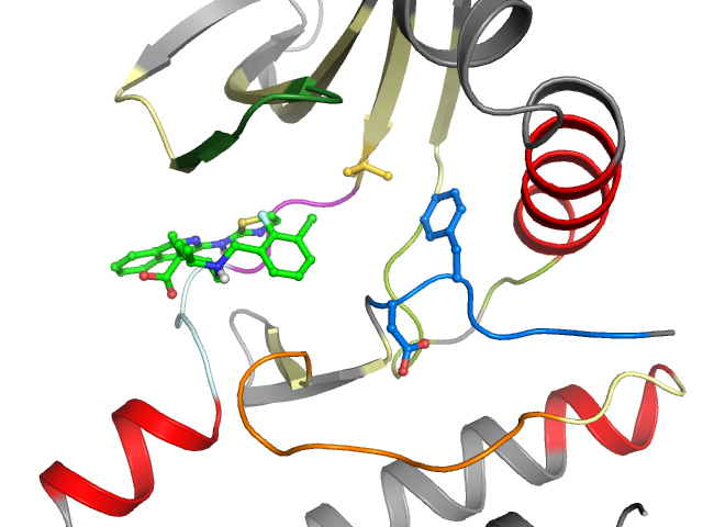 The orthosteric binding pocket