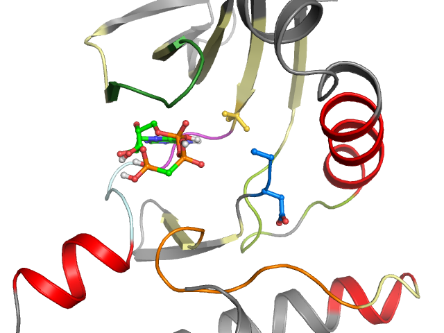 The orthosteric binding pocket
