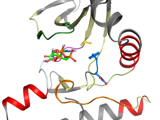 The orthosteric binding pocket