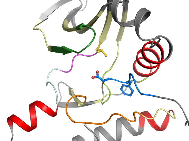 The orthosteric binding pocket