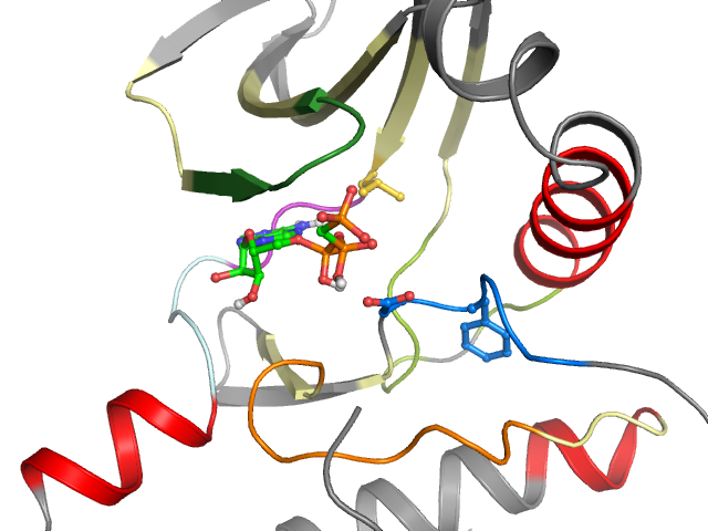 The orthosteric binding pocket