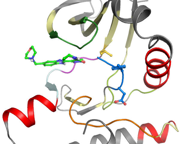 The orthosteric binding pocket
