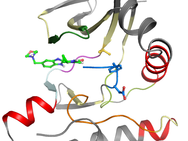 The orthosteric binding pocket