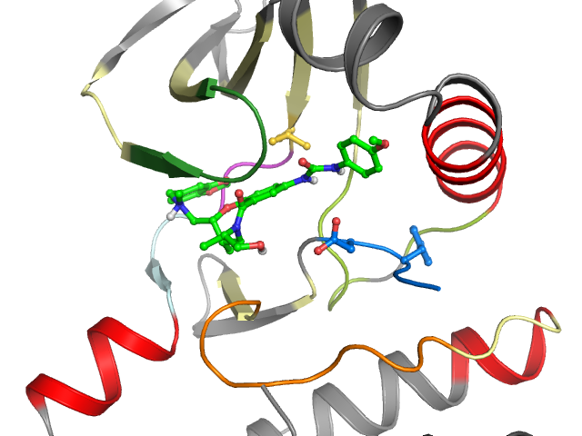 The orthosteric binding pocket