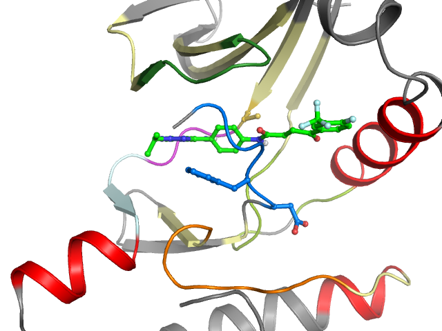 The orthosteric binding pocket