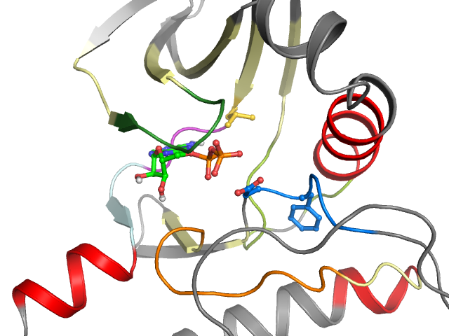 The orthosteric binding pocket