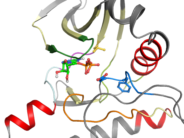 The orthosteric binding pocket