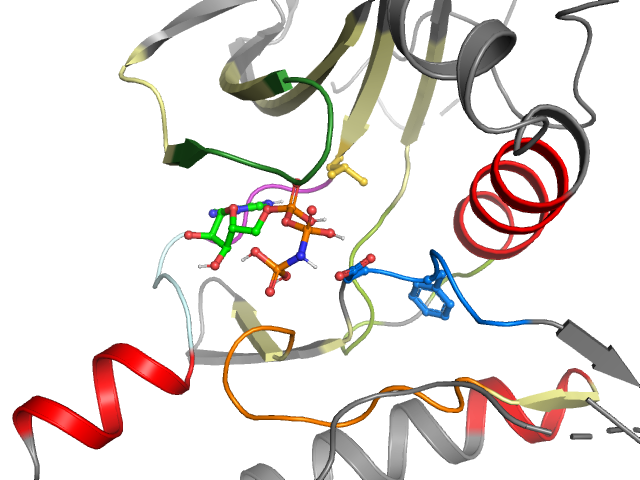 The orthosteric binding pocket