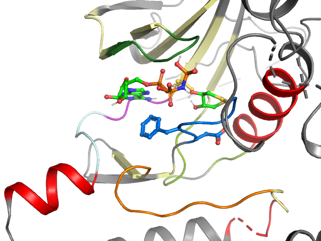 The orthosteric binding pocket