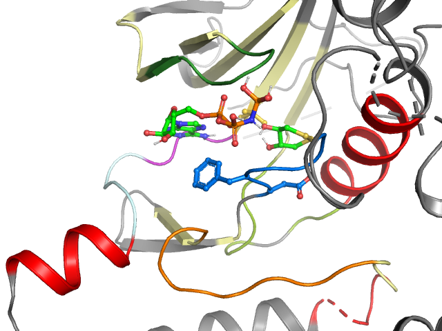 The orthosteric binding pocket