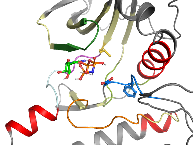 The orthosteric binding pocket