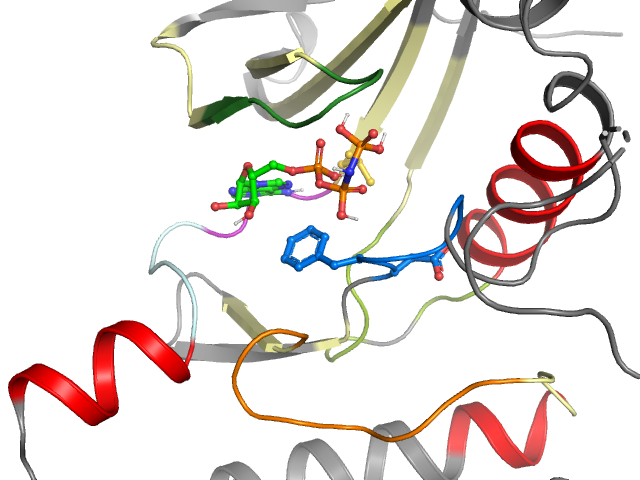 The orthosteric binding pocket