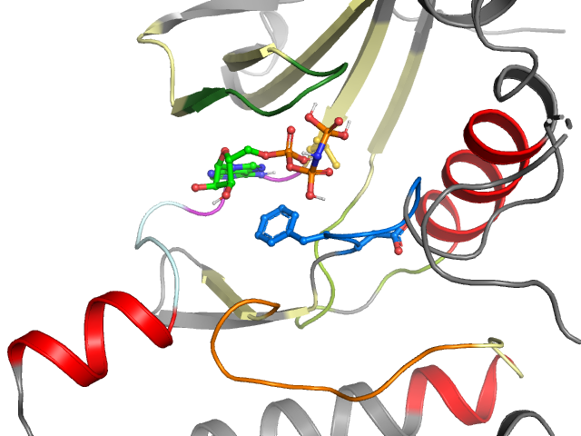 The orthosteric binding pocket