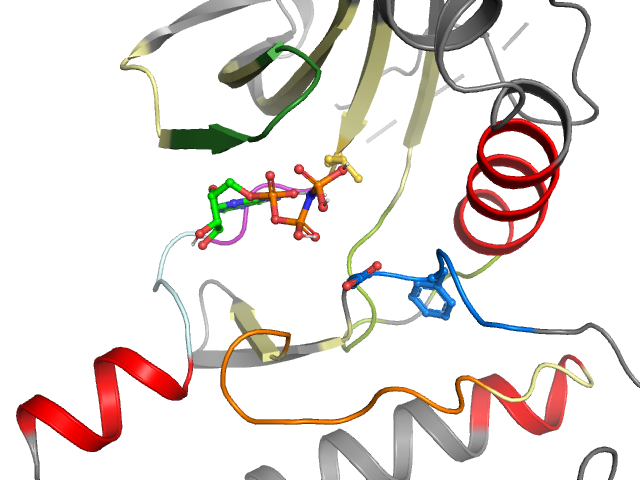 The orthosteric binding pocket