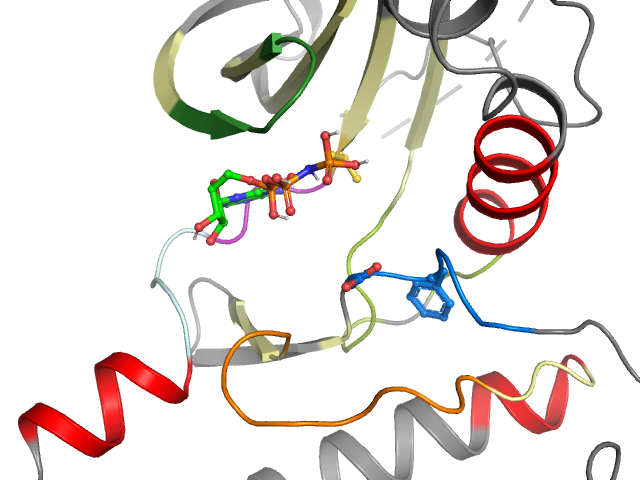 The orthosteric binding pocket