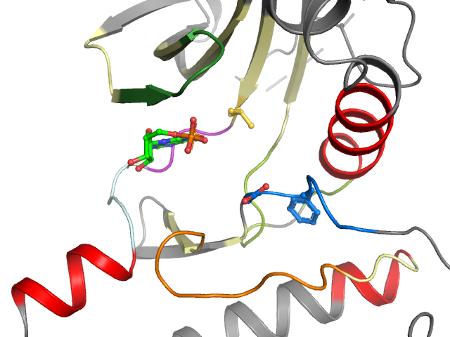 The orthosteric binding pocket