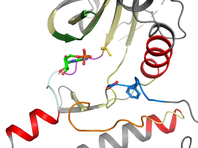 The orthosteric binding pocket