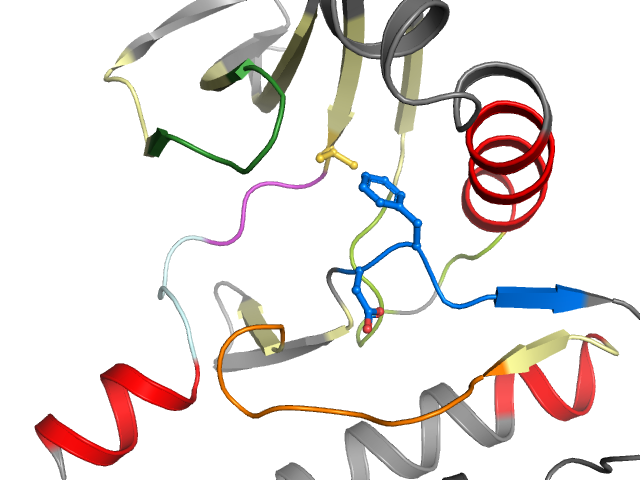 The orthosteric binding pocket