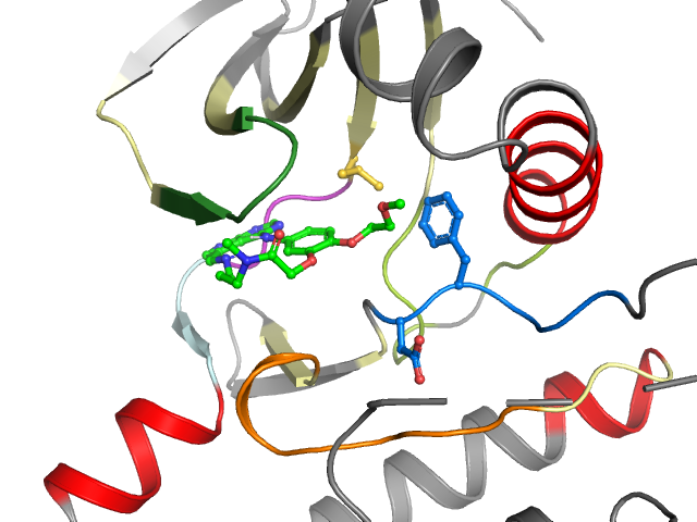 The orthosteric binding pocket