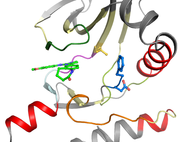 The orthosteric binding pocket