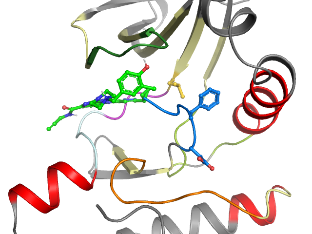 The orthosteric binding pocket