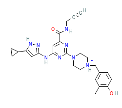 2D structure of the orthosteric ligand