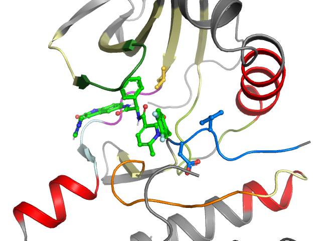 The orthosteric binding pocket