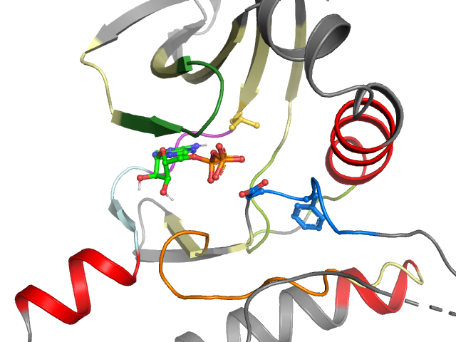 The orthosteric binding pocket