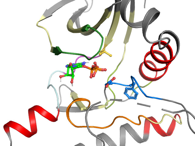 The orthosteric binding pocket