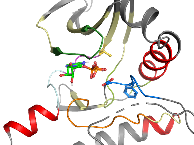The orthosteric binding pocket