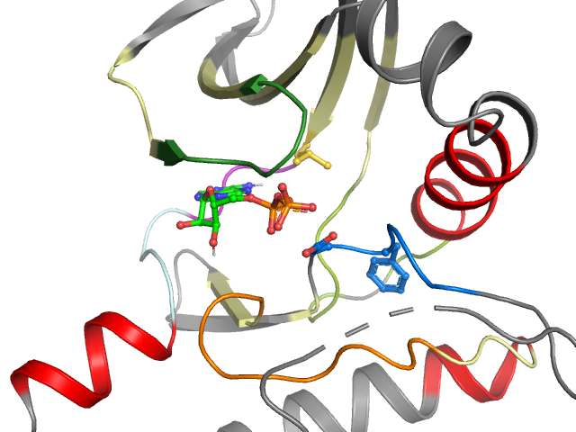 The orthosteric binding pocket