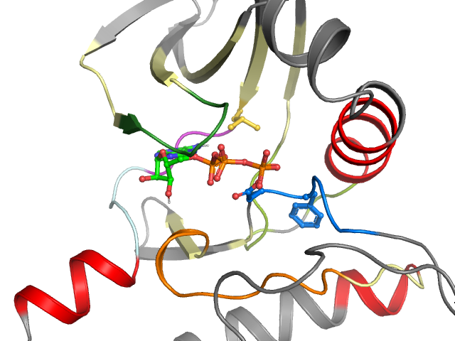 The orthosteric binding pocket